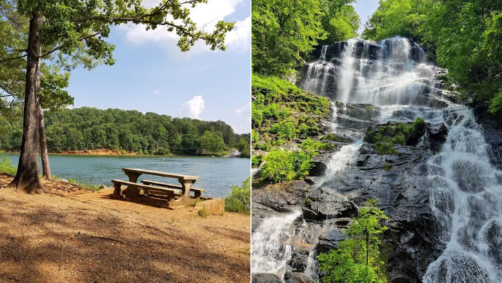 10 Georgia State Parks Perfect For Easy Spring Hiking in May