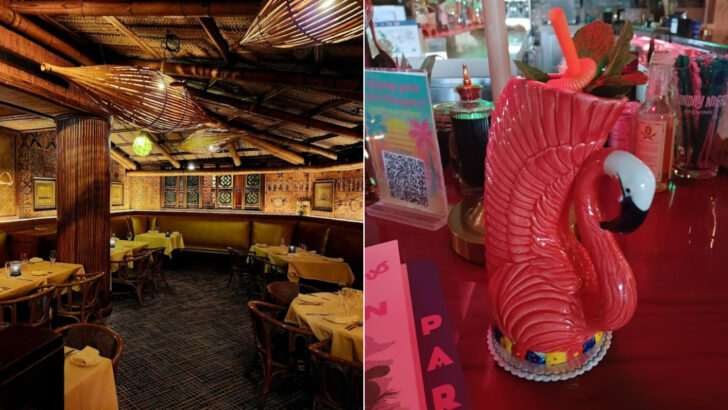10 Georgia Tiki Bars Where Tropical Drinks Meet Southern Evenings