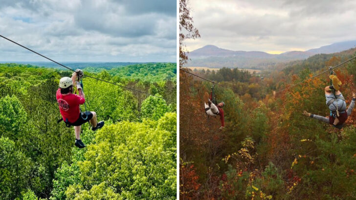 10 Georgia Zipline Adventures With Forest Views Worth Seeing From Above