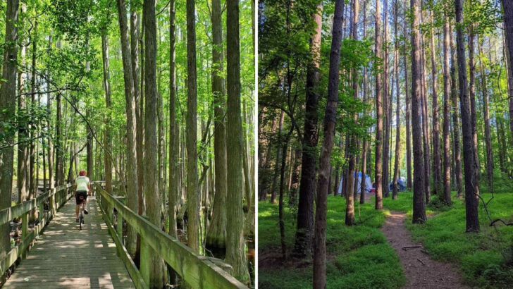 10 Hidden Spots in Georgia That Feel Surprisingly Peaceful and Uncrowded