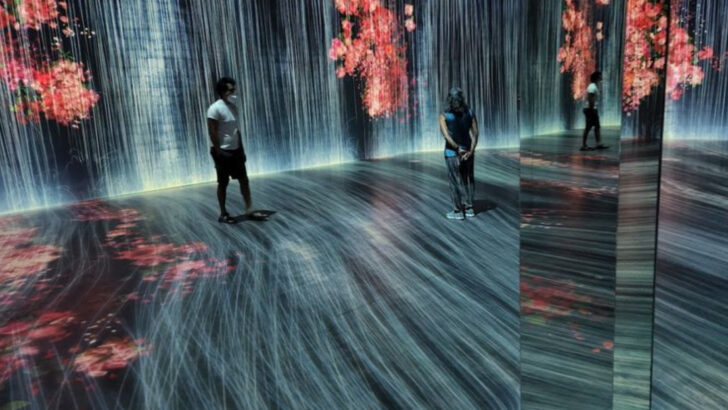 10 Interactive Activities in Florida That Turn a Day Trip Into a Real Experience