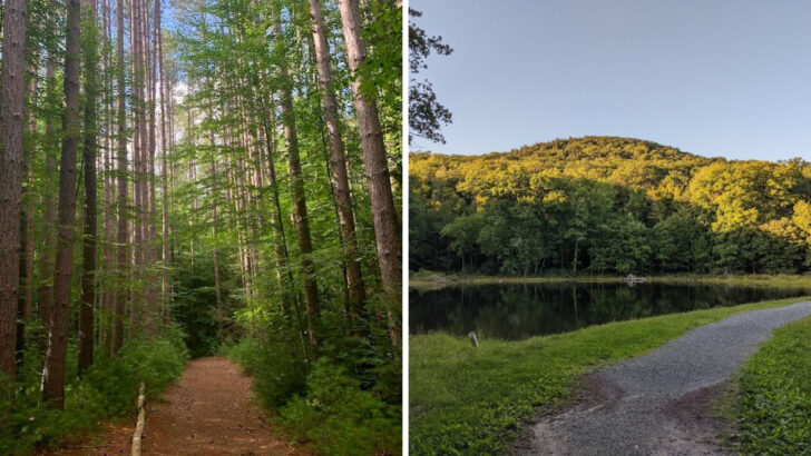 10 Massachusetts Hiking Trails Worth Exploring in Every Season