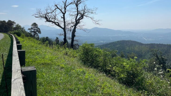 10 Mountain Drives in North Carolina That Look Incredible With the Windows Down