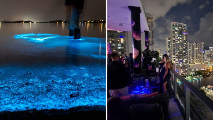 10 Nighttime Experiences in Florida That Are Better Than Anything You&rsquo;ll Do During the Day
