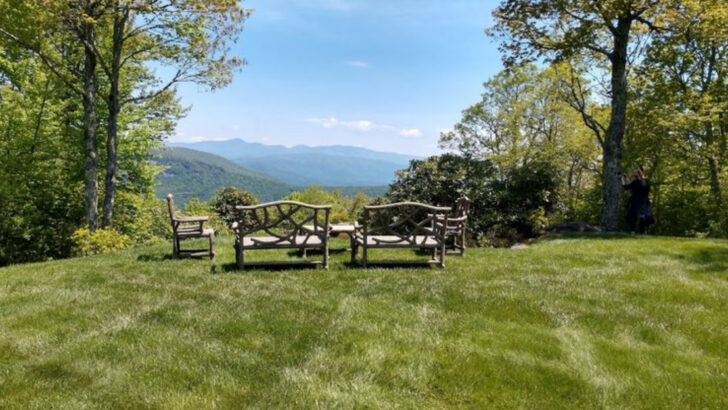 10 North Carolina Botanical Gardens That Feel Like a Breath of Fresh Air