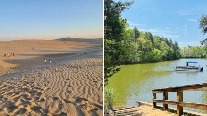 10 North Carolina Parks That Come Alive During Late Spring