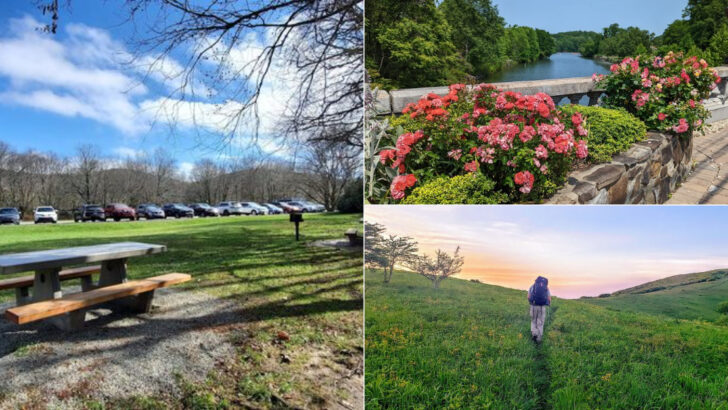 10 North Carolina Picnic Spots Worth Packing Lunch For in May