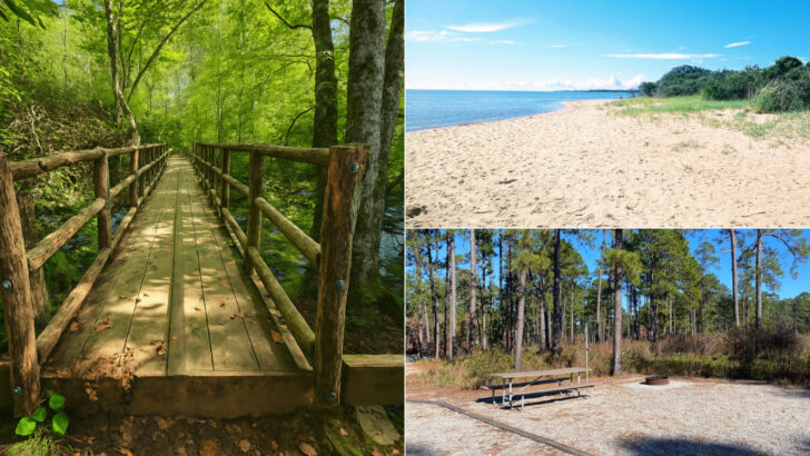 10 North Carolina Scenic Picnic Areas Worth Discovering During May
