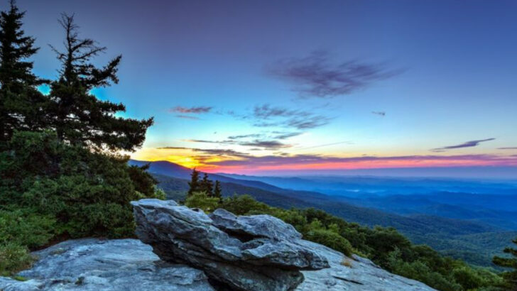 10 North Carolina Trails Filled With Rhododendrons and Mountain Views