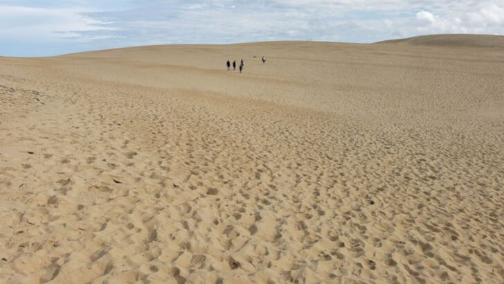 10 North Carolina Views That Feel Like They Belong in a Film