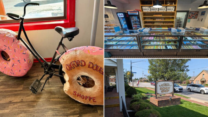 10 Ohio Donut Shops Locals Will Happily Drive Across Town For