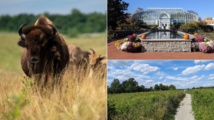 10 Ohio Family Attractions Perfect for Mild Spring Weekends in May