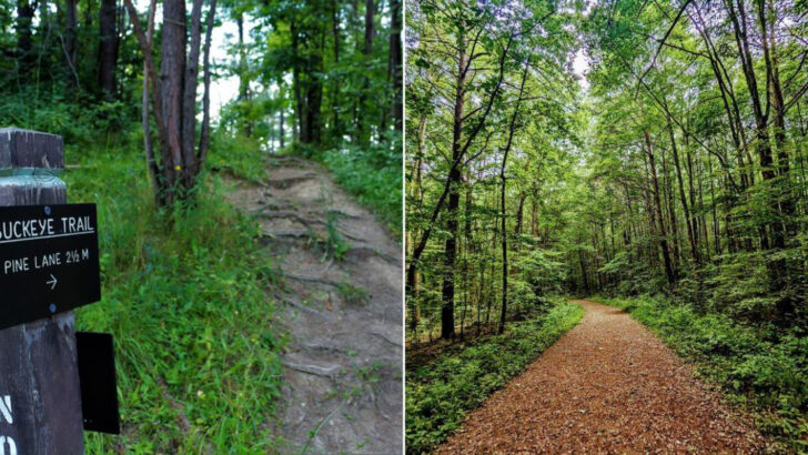 10 Ohio Hiking Trails Worth Adding to Your Bucket List