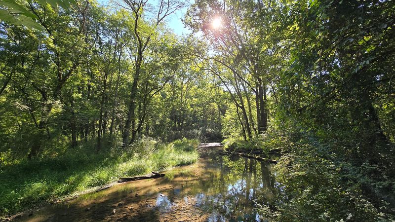 Glen Helen Nature Preserve, Greene County