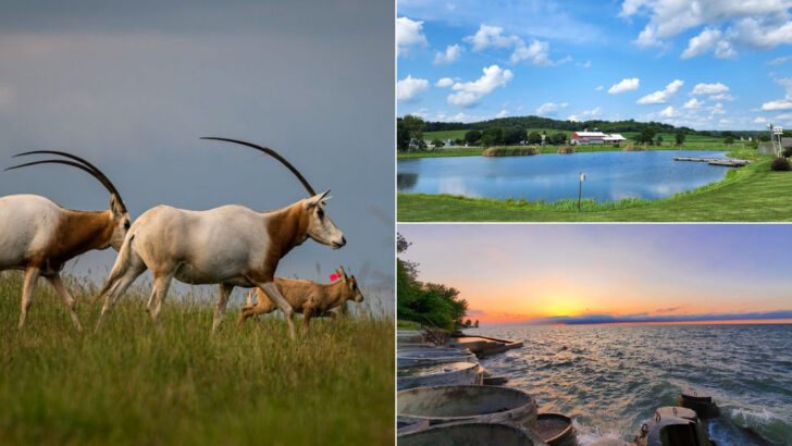 10 Ohio Travel Spots That Make June Feel Like Vacation Season
