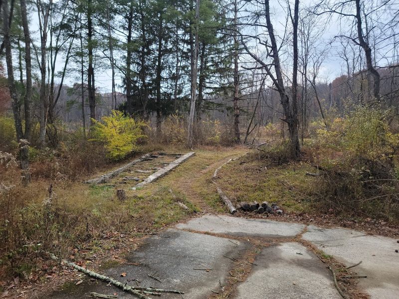 Michaux State Forest