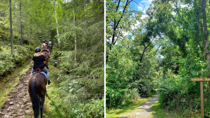10 Pennsylvania Horseback Riding Trails That Feel Especially Scenic During Spring