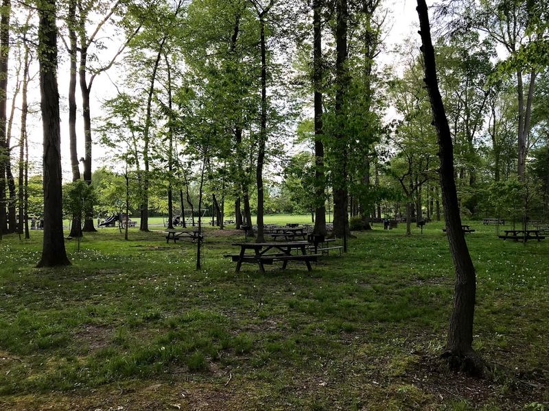 Tyler State Park