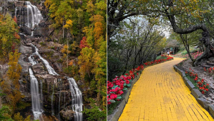 10 Places in North Carolina Where Trails Lead to Something Unexpected