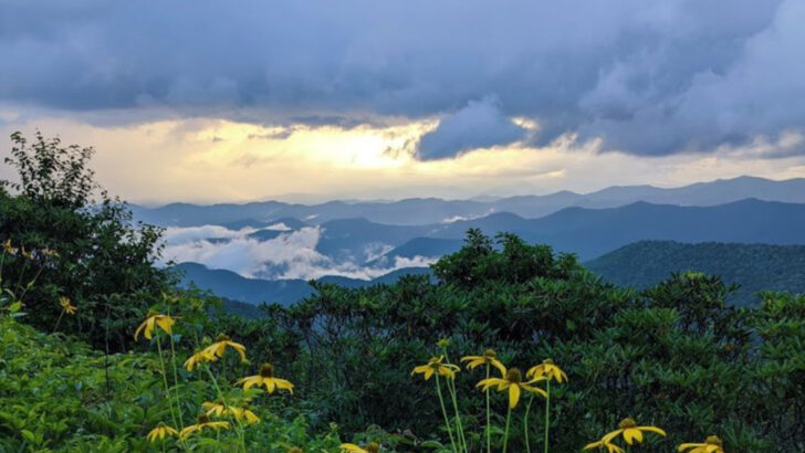10 Quiet Mountain Getaways In North Carolina That Feel Worlds Away