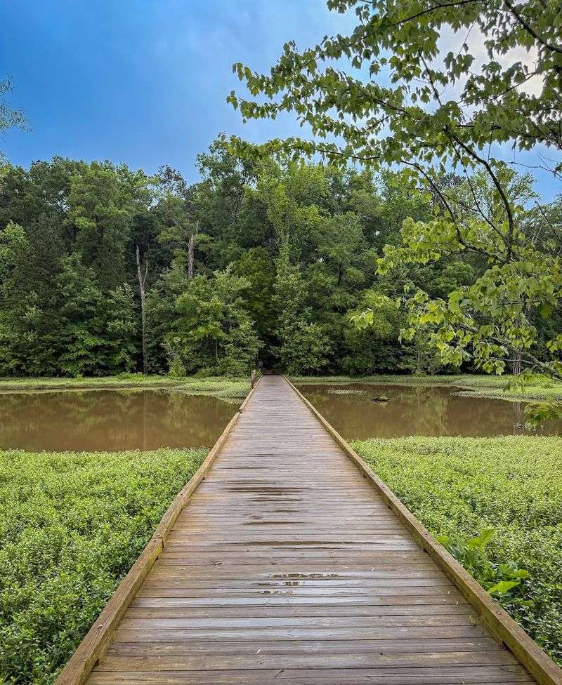 Doll’s Head Trail (Atlanta)