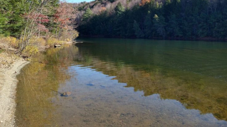 10 Secret Swimming Holes in Pennsylvania That Locals Don&rsquo;t Want You to Find