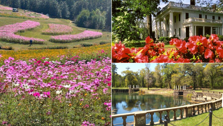11 Beautiful Places Across Georgia That Never Disappoint Visitors