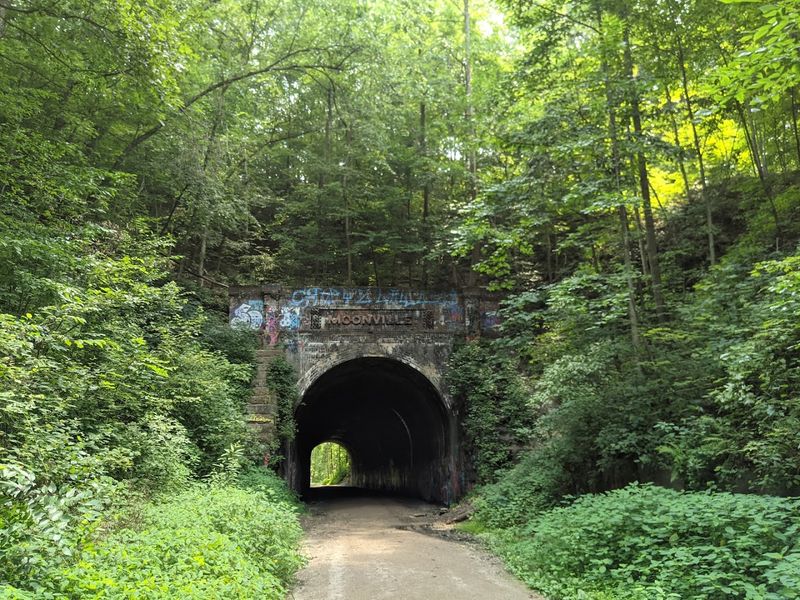 Zaleski State Forest