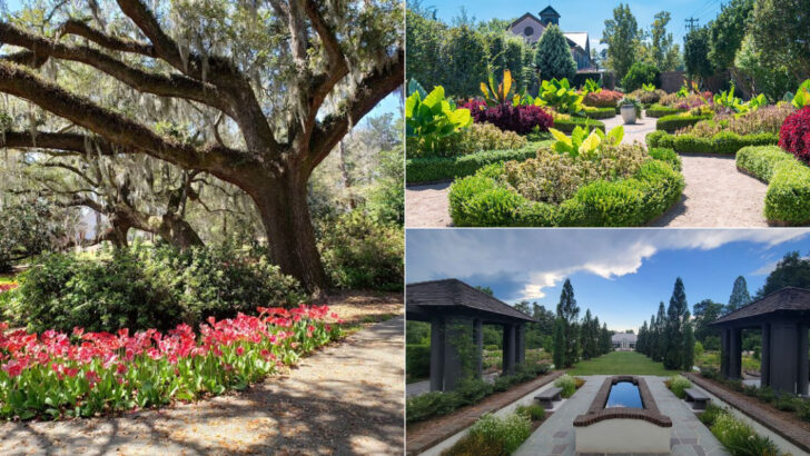 11 Botanical Gardens in North Carolina That Look Especially Colorful This Spring