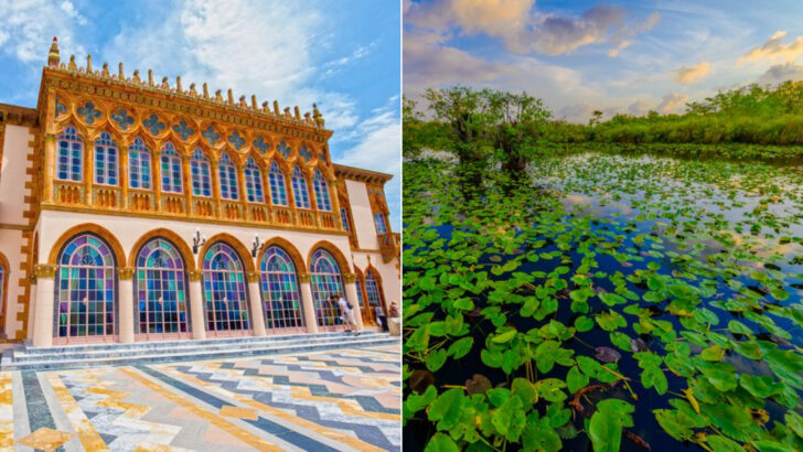 11 Bucket List Experiences in Florida That Go Beyond the Beach