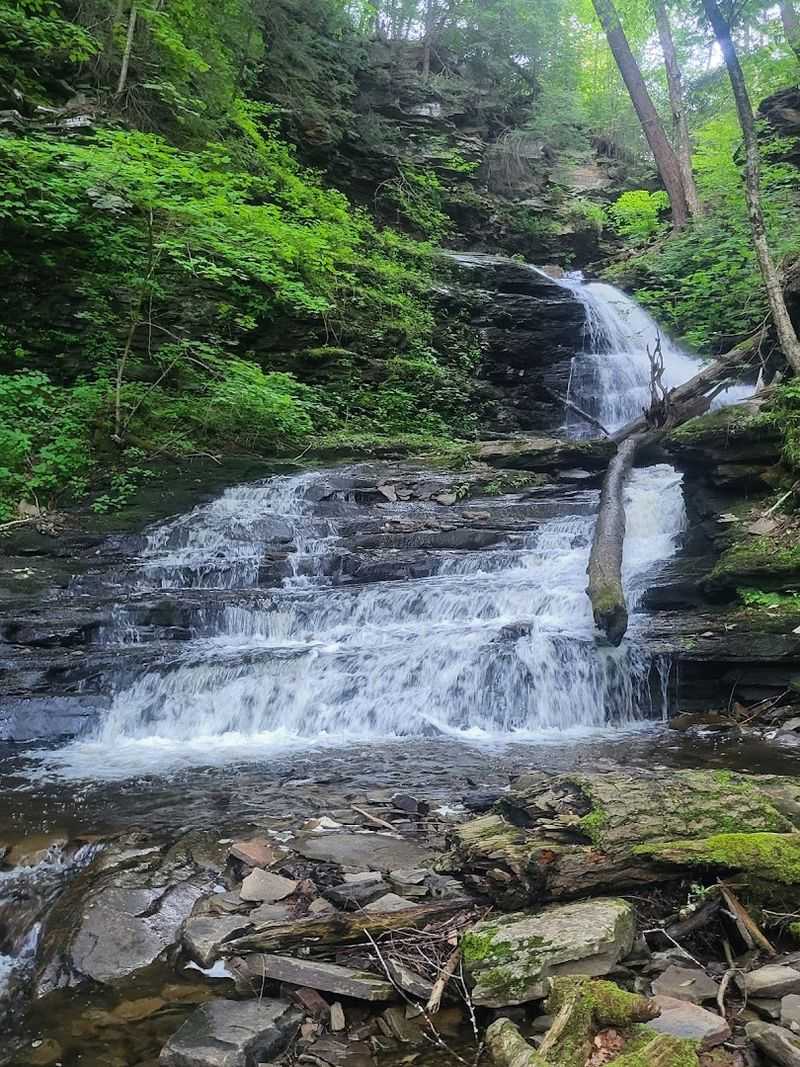 Hike the Falls Trail at Ricketts Glen State Park