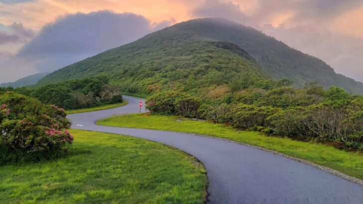 11 Countryside Drives in North Carolina Especially Beautiful In Spring