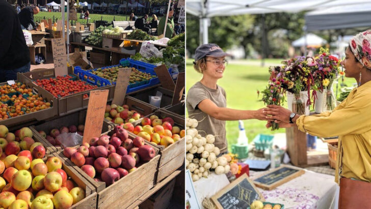 11 Countryside Markets in Massachusetts Full Of Fresh Finds And Local Flavor