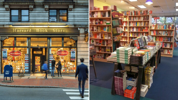 11 Cozy Bookstores in Massachusetts Worth Browsing For Hours