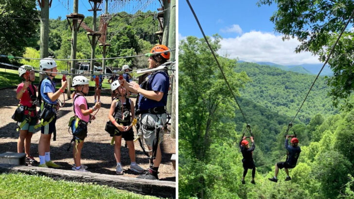 11 Family Adventure Parks In North Carolina With Ziplines, Treetop Courses, And Big Outdoor Fun
