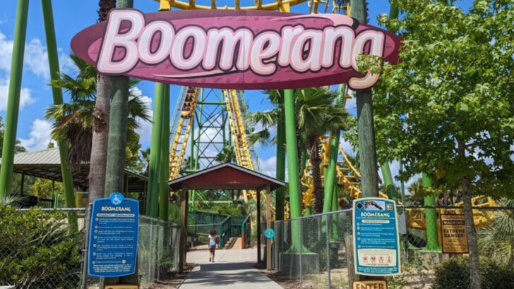 11 Family Attractions in Georgia That Make Weekend Planning Surprisingly Easy