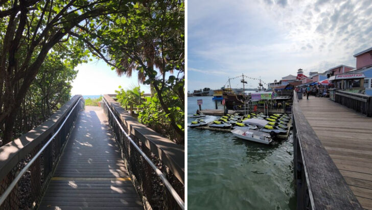 11 Florida Boardwalks Best Explored Before Peak Heat Arrives in May