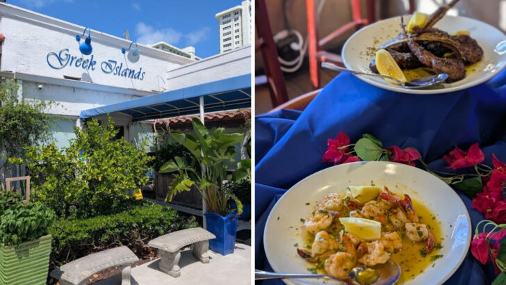 11 Florida Greek Restaurants Bringing Sunny Coastal Flavor To Every Plate In 2026