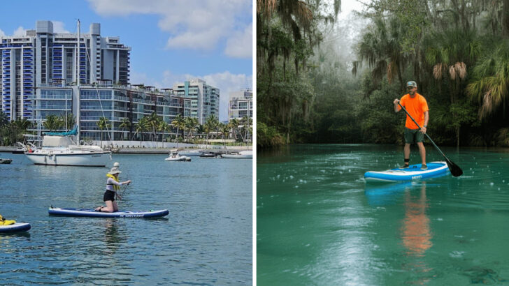 11 Florida Paddleboarding Spots Perfect for Calm Water and Warm Weather Adventures