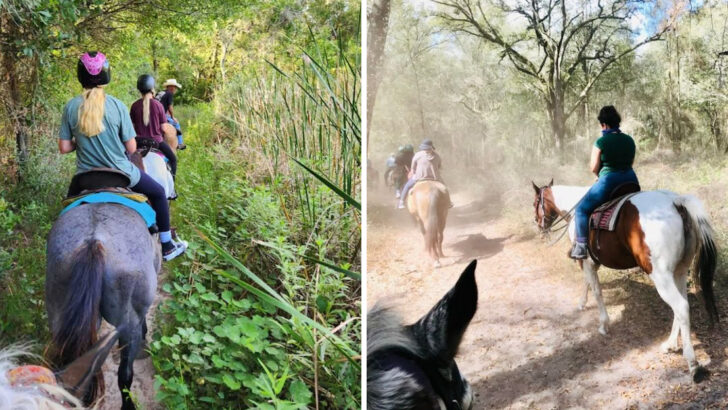 11 Florida Ranches Where Horseback Riding Feels Relaxing, Peaceful, and Easy To Enjoy