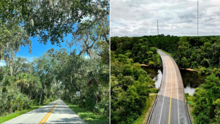 11 Florida Scenic Drives Perfect for Warm Breezy Afternoons in May