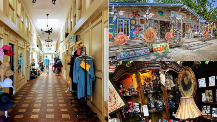 11 Florida Shops Where a Quick Stop Easily Turns Into a Longer Browse
