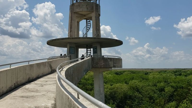 Shark Valley Observation Tower — Everglades National Park