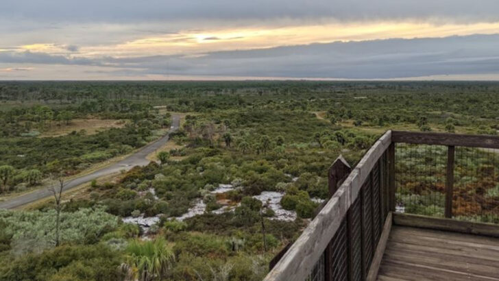 11 Florida Spots Where the Sky Feels Close Enough to Touch