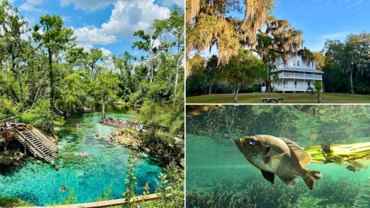 11 Florida Springs Worth Visiting Before the Heat of Summer