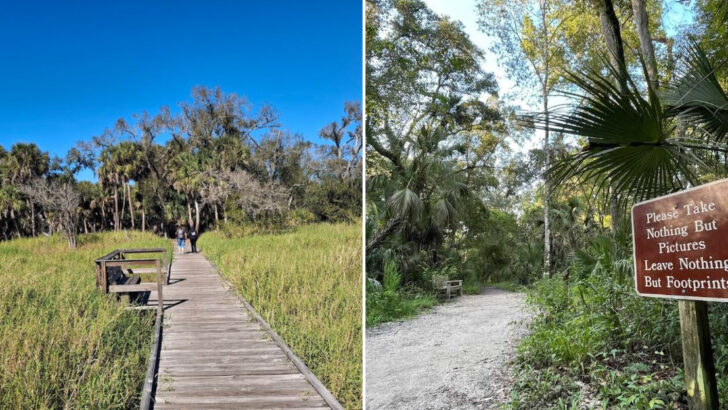 11 Florida Trails Perfect For Fresh Air And Quiet Morning Views