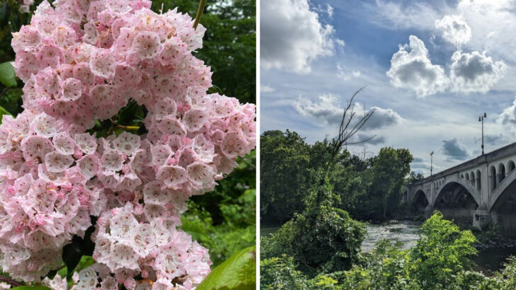 11 Free Things in Pennsylvania You Can Enjoy All Month Long in June