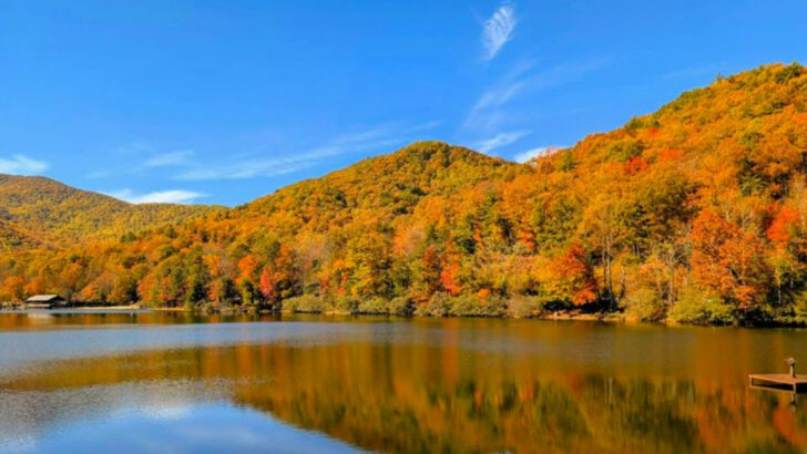 11 Georgia Day Trips Where Waterfalls, BBQ, And Mountain Views All Fit Into One Plan