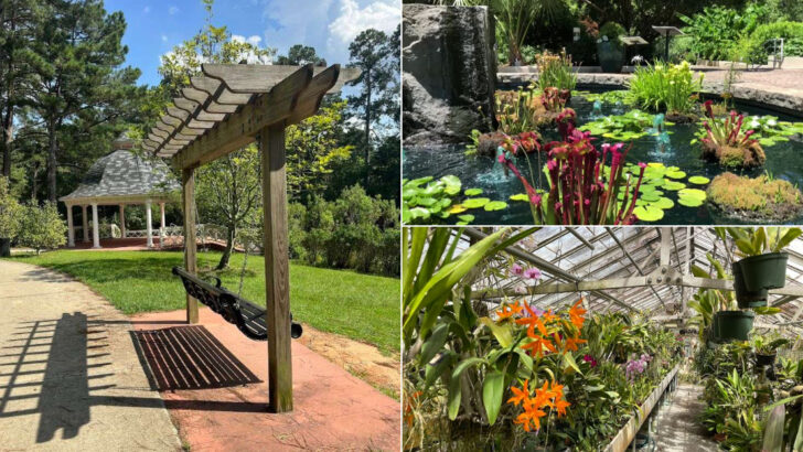 11 Georgia Hidden Gardens Full Of Color During Spring in May