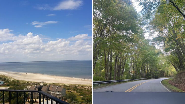 11 Georgia Weekend Drives Perfect for Sunny Days in May